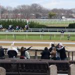 ABR Sunday Selections: Full-Card Picks for Nov. 16 at Aqueduct